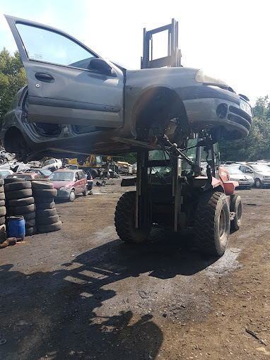 Aperçu des activités de la casse automobile CALARD FRERES située à BALAN (01360)